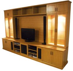 Customised entertainment display cabinet